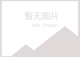 泾阳县雪青建设有限公司